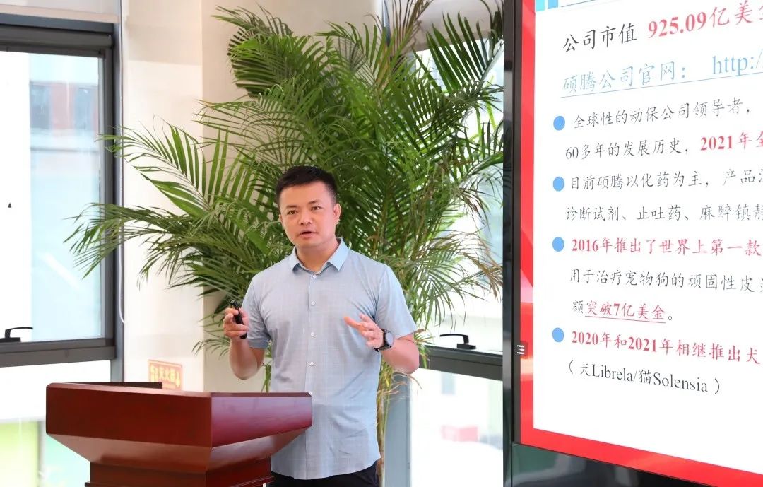 偉杰信營銷中心年中團(tuán)建會—“凝心聚力奪輝煌、奮力前行獲佳績”