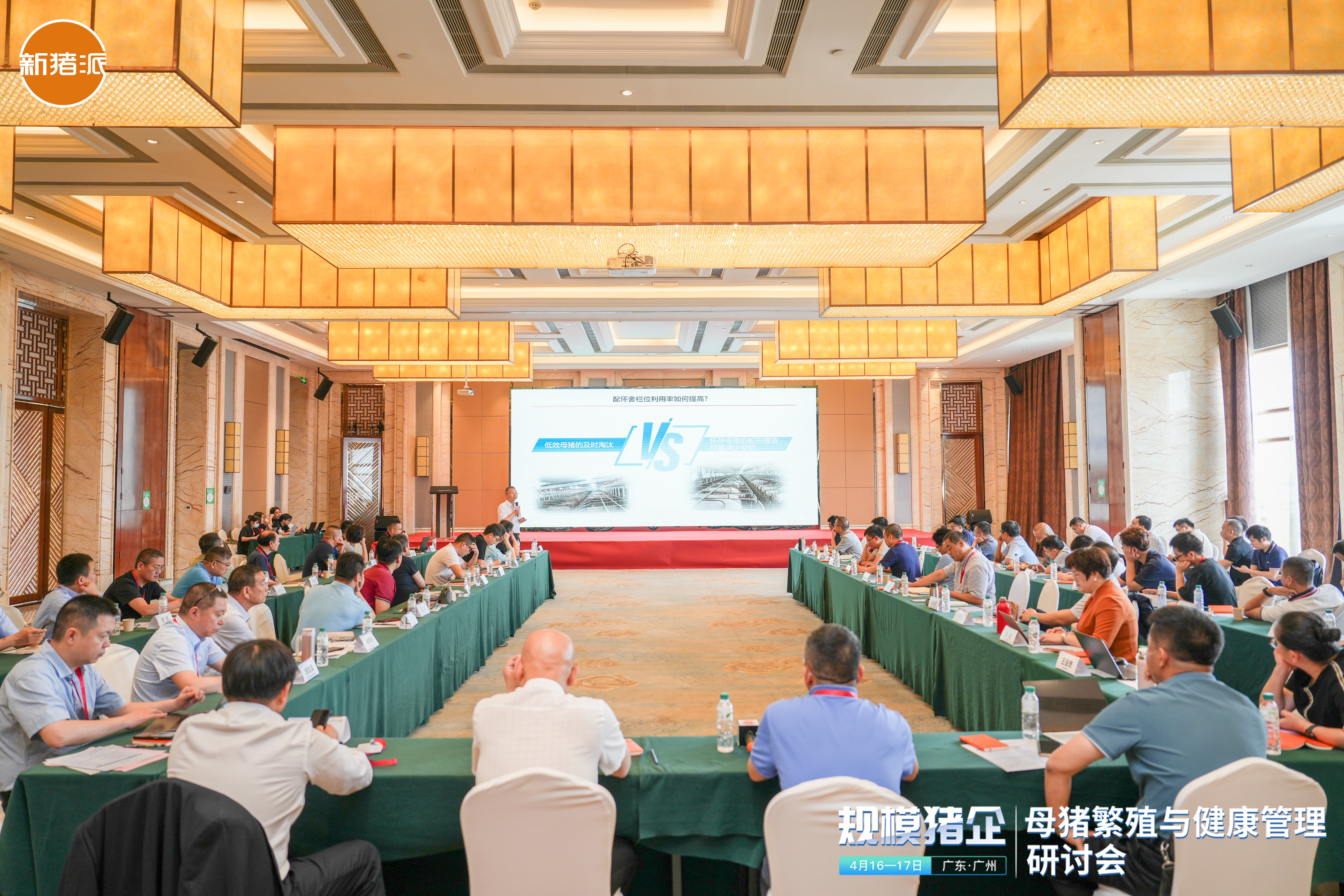 偉杰信成功協(xié)辦的“規(guī)模豬企——母豬繁殖與健康管理研討會”圓滿落幕